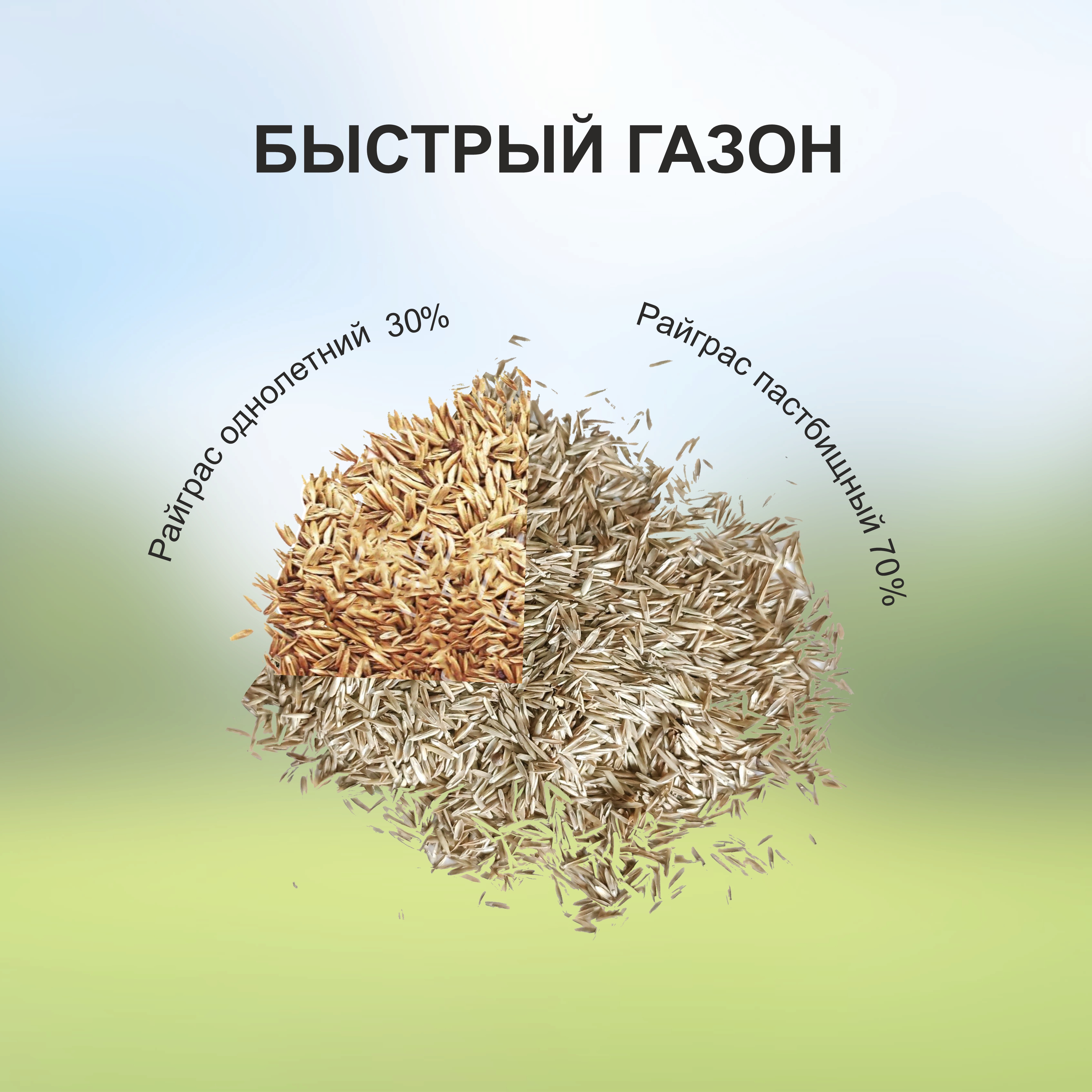смесь газонных семян "быстрый газон", 1кг. - Семена газонных трав - 315 ₽