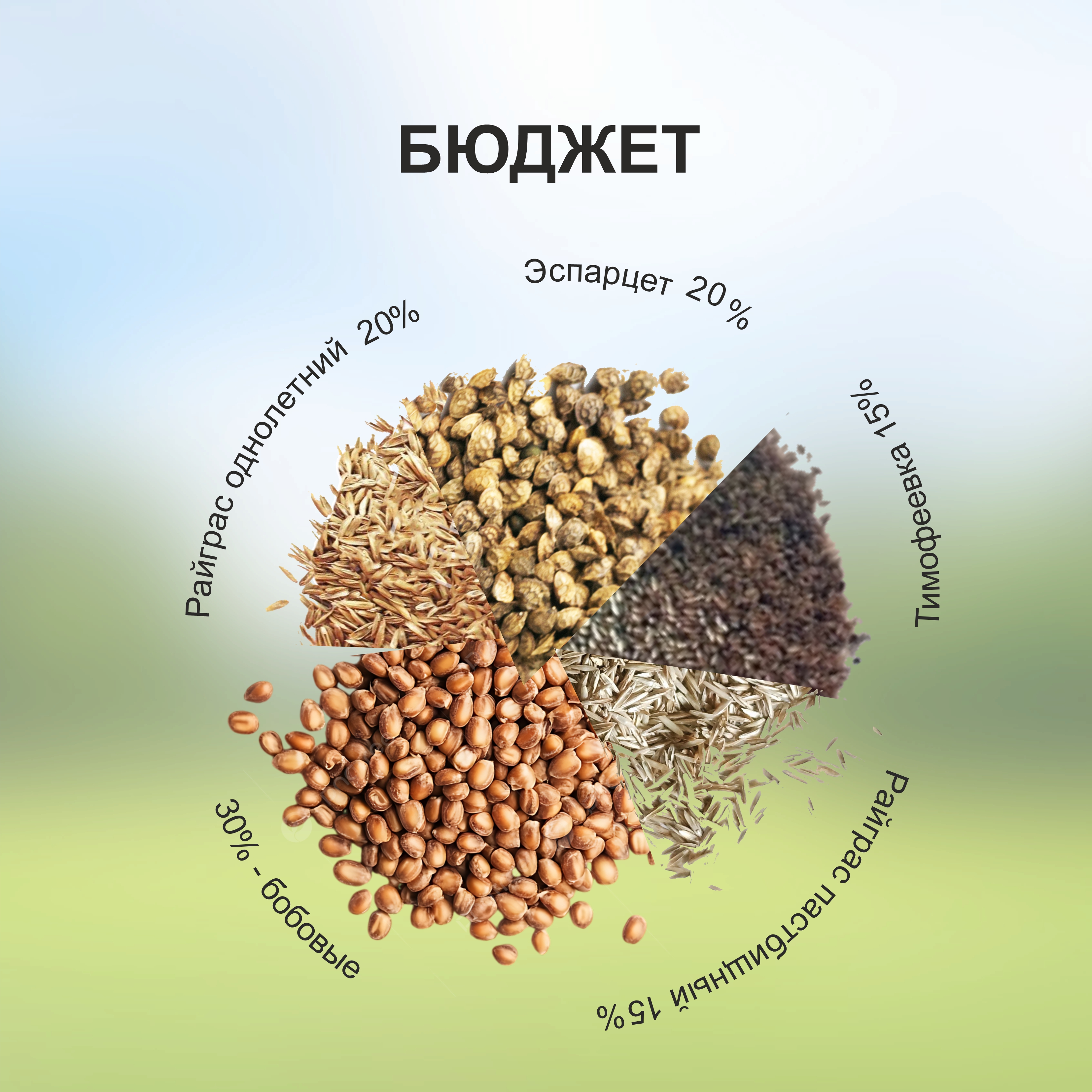смесь газонных трав "бюджет",1кг. - Семена газонных трав - 219 ₽