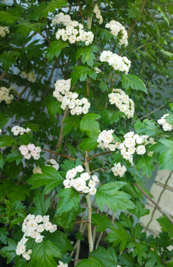 Ayollar porno galereyalari