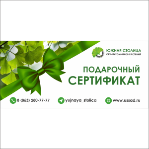 Сертификаты